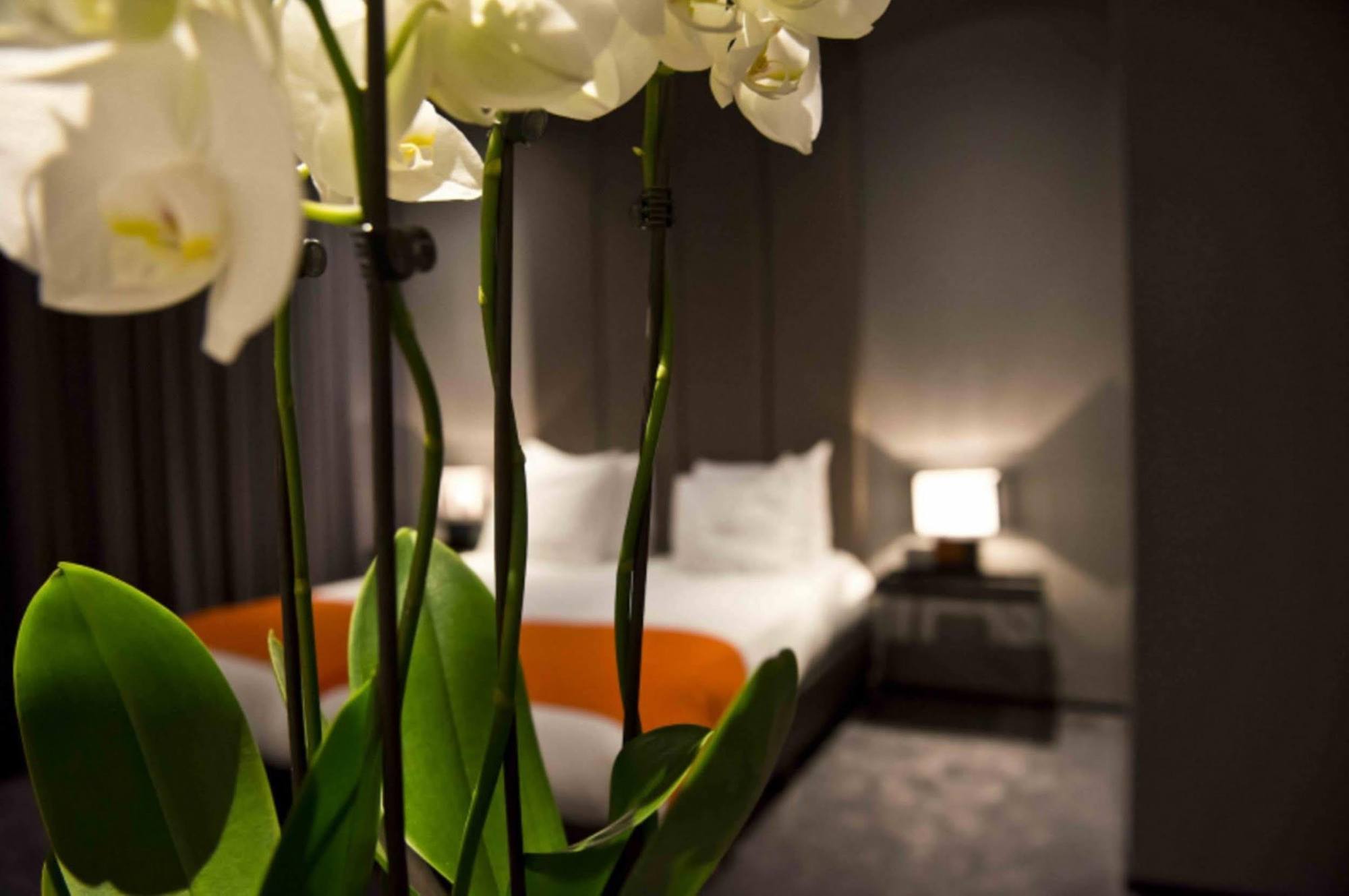 Design Hotel Glow Eindhoven Ngoại thất bức ảnh